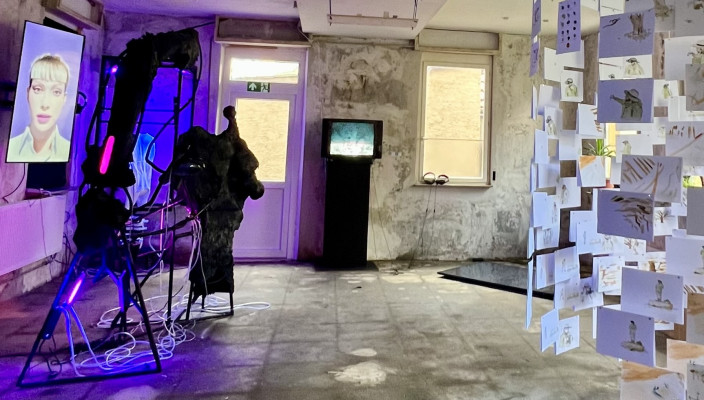animation-installation 2025