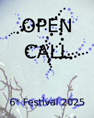 Aufruf zu Kunstbeiträgen für die Geländegestaltung beim 6* Festival, Bayreuth
